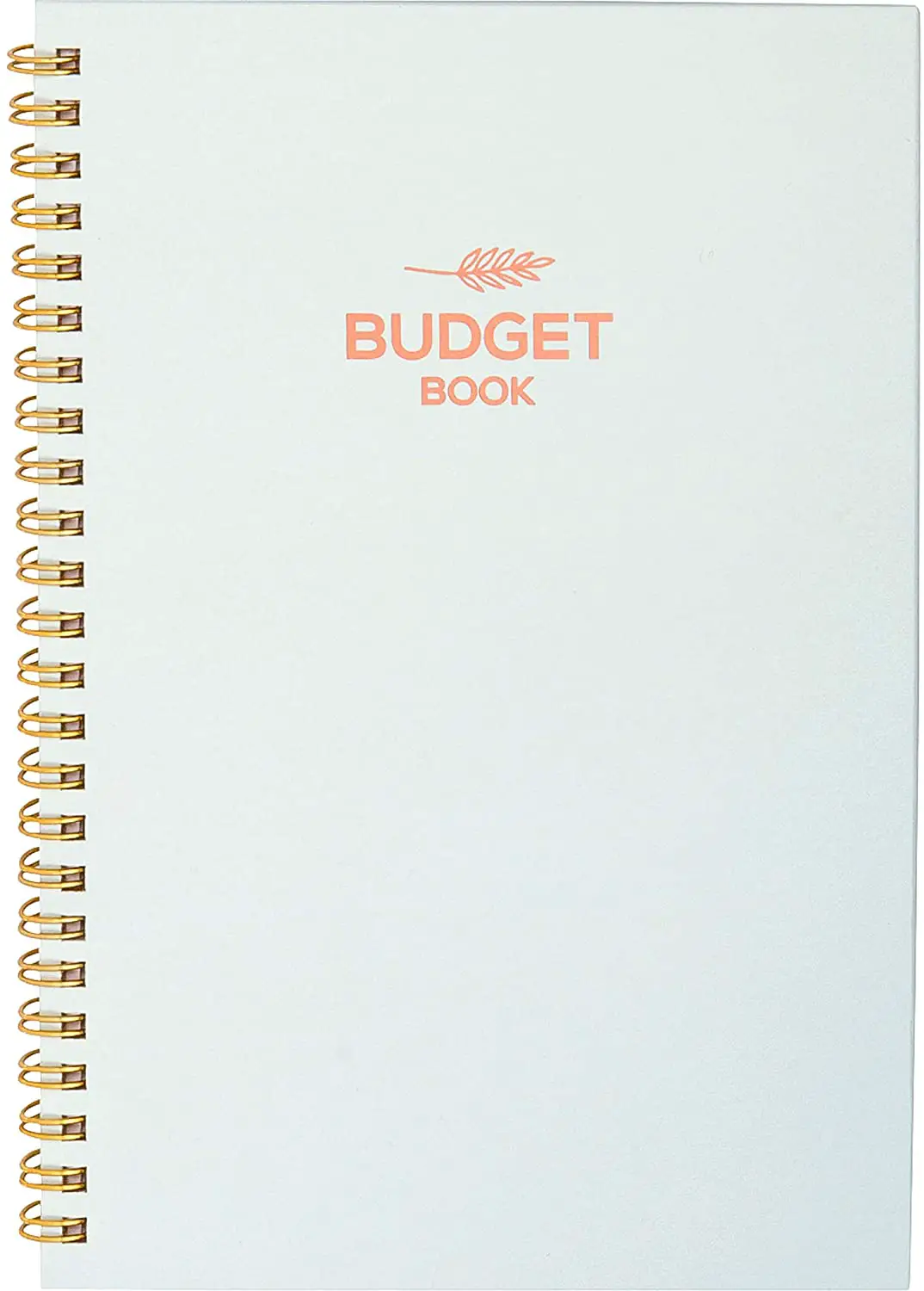 money budget planner book
